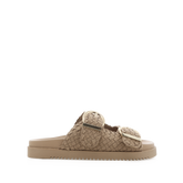 BISCUIT SUEDE