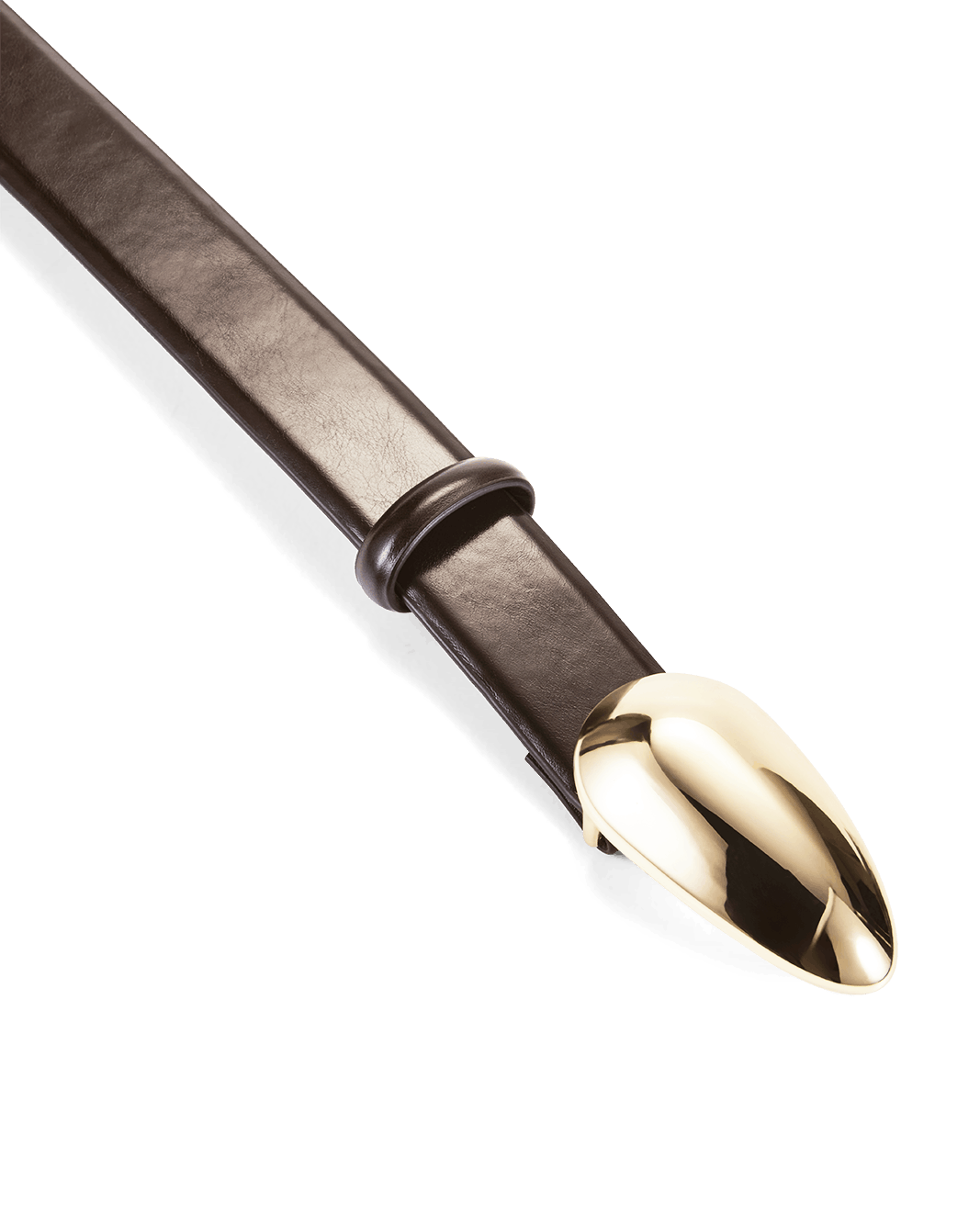 BOSTON BELT - CHOCOLATE SHINE-GOLD-BELTS-Billini-Billini