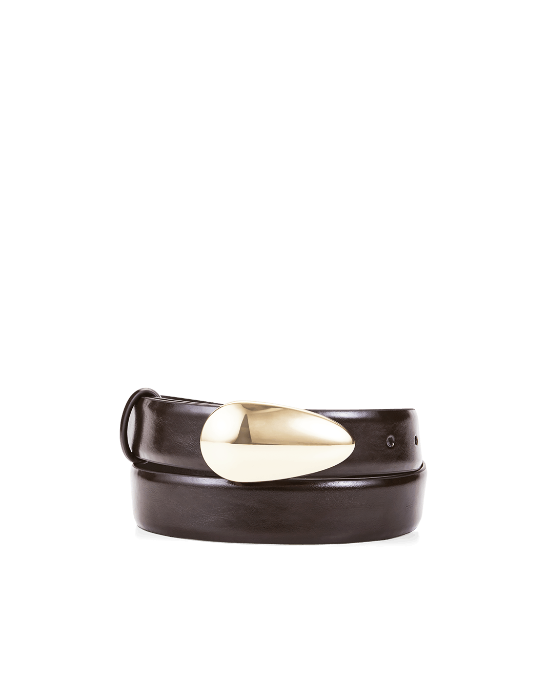 BOSTON BELT - CHOCOLATE SHINE-GOLD-BELTS-Billini-Billini