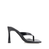 BLACK SHINE