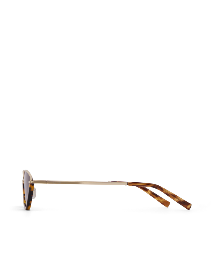 THE CONSANI - DARK HAVANA TORT-MELON-SUNGLASSES-BANBE-Billini
