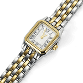 GOLD-SILVER