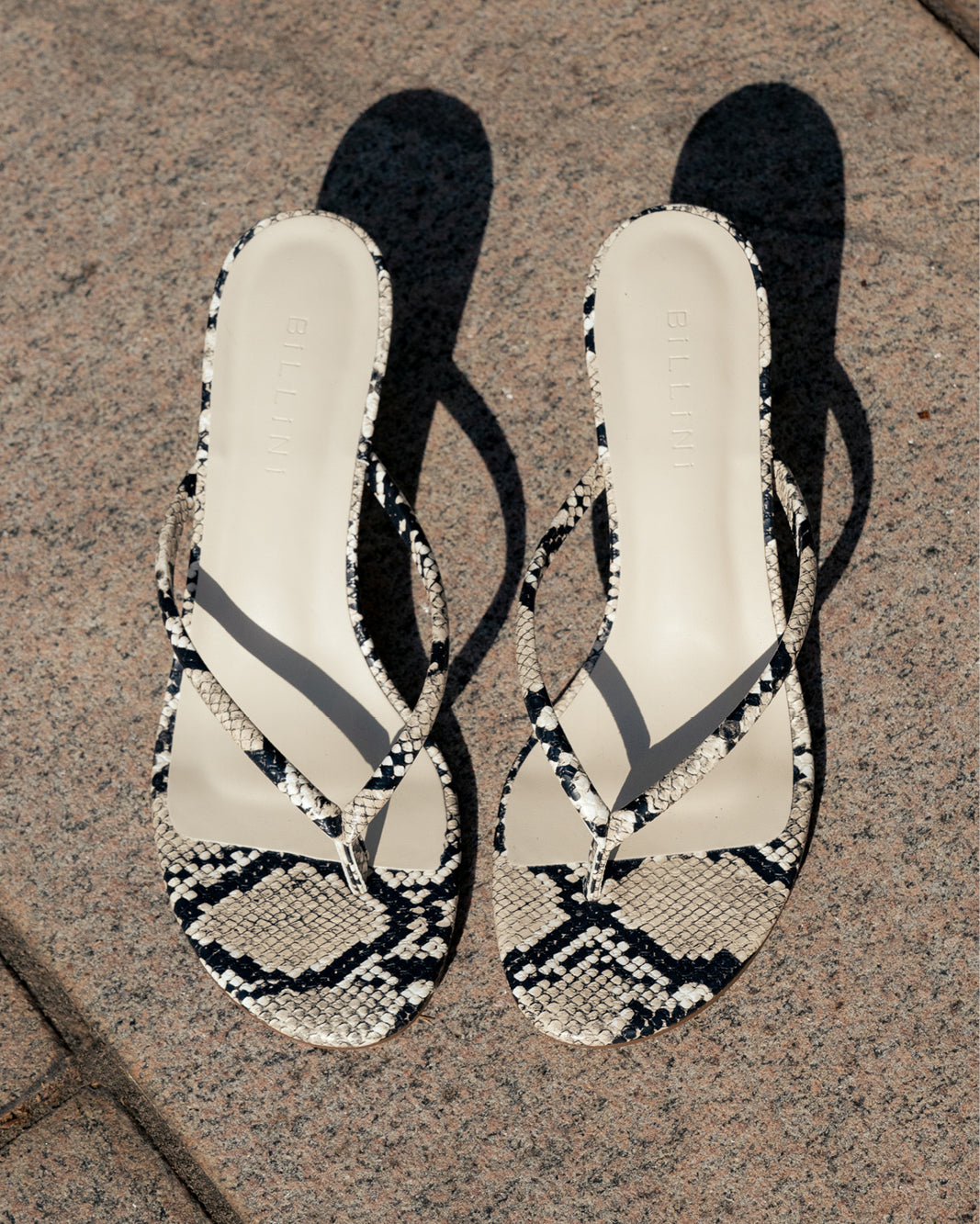 ESTI - ECRU SNAKE-Heels-Billini-Billini