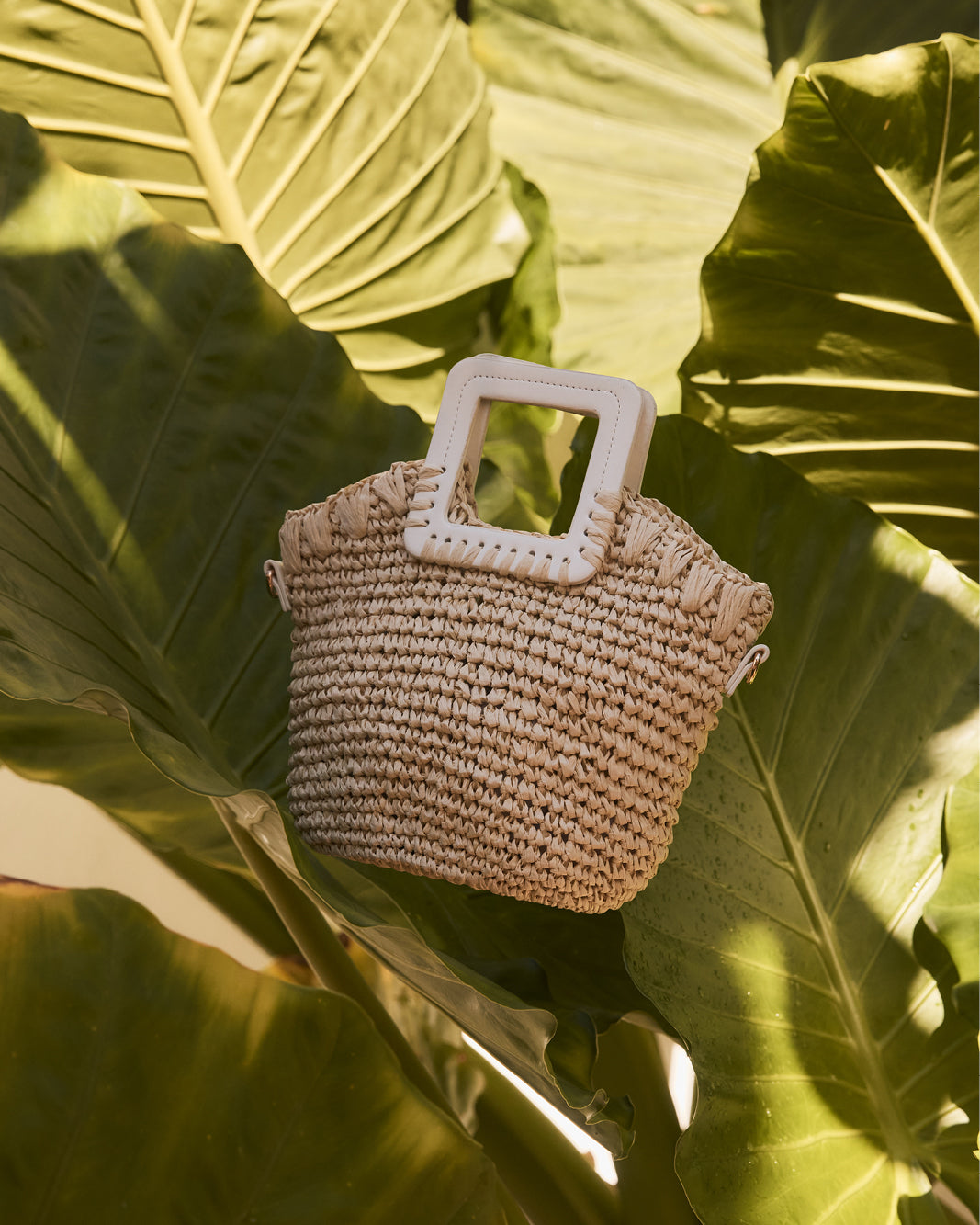EVIE HANDLE BAG - NATURAL RAFFIA-WHITE-Handbags-Billini-Billini