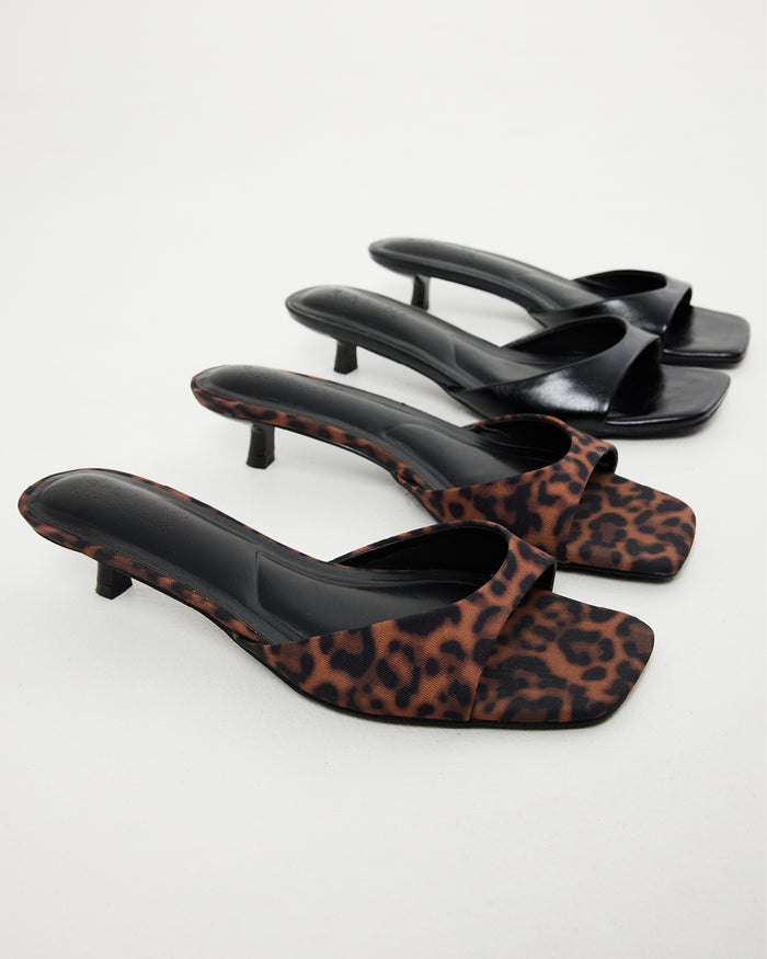 BRODY - LEOPARD
