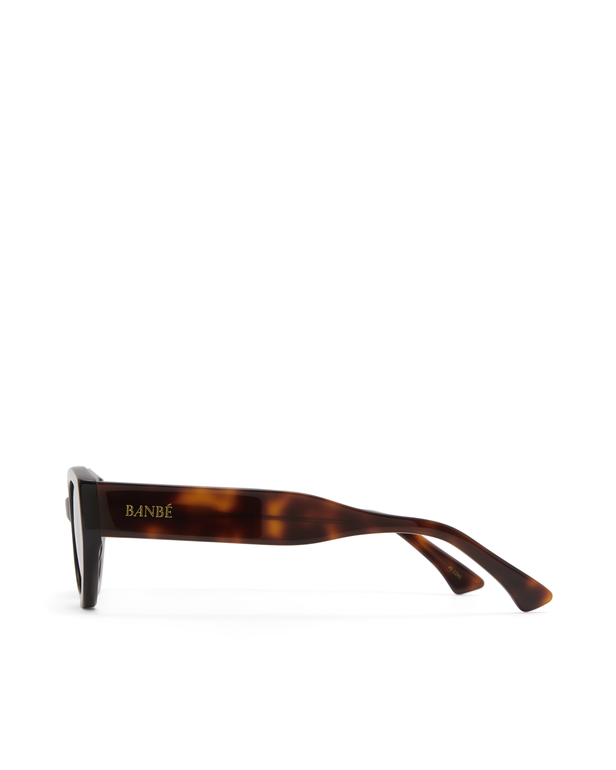 THE KELLY - BLACK-HAVANA TORT-DARK GREEN-SUNGLASSES-BANBE-Billini