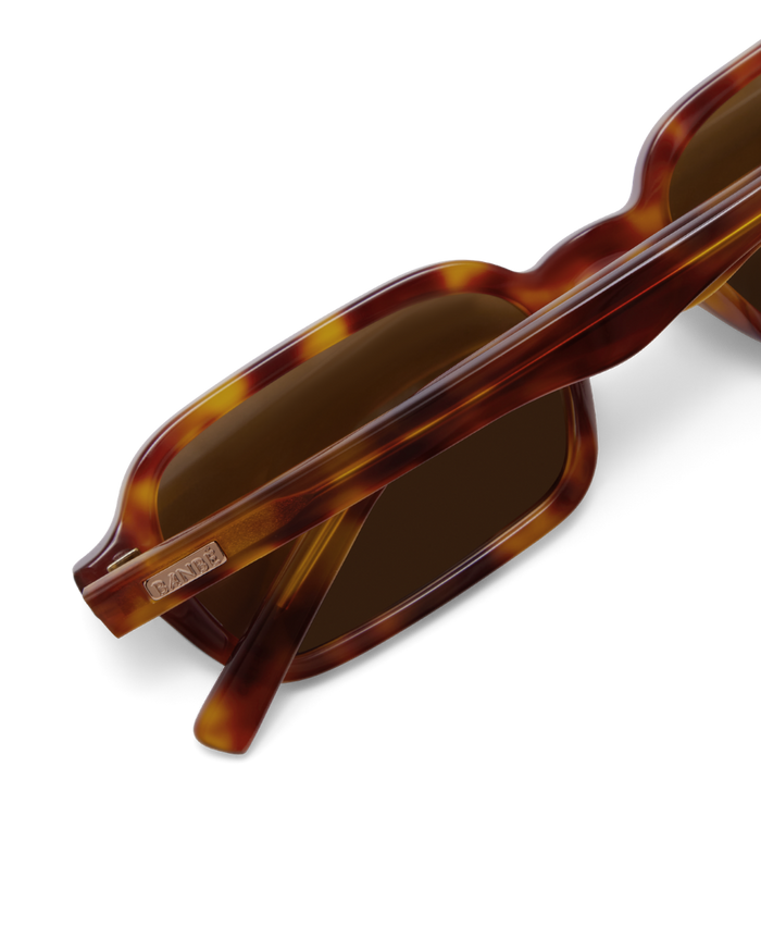 THE NIAMH - DARK HONEY TORT-BROWN-SUNGLASSES-BANBE-Billini