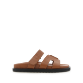 TAN