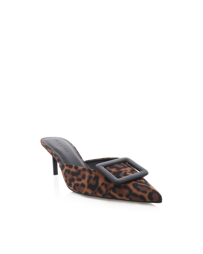YORKIE - LEOPARD