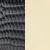 black lizard gold